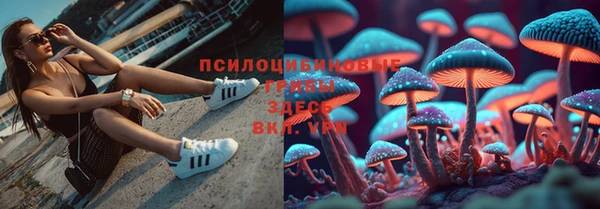 сатива Абинск