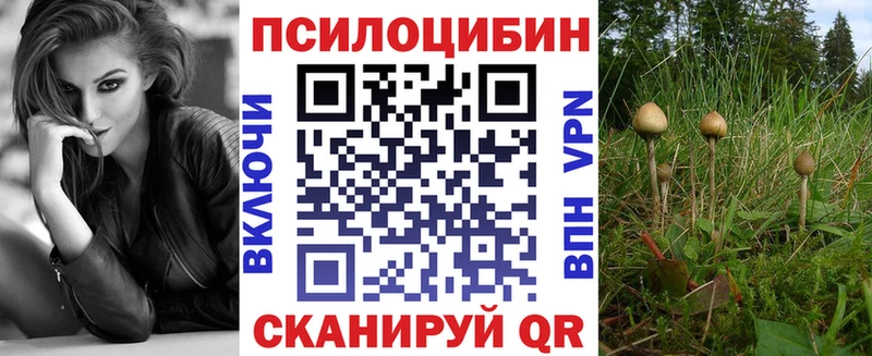 Галлюциногенные грибы Cubensis Юрга