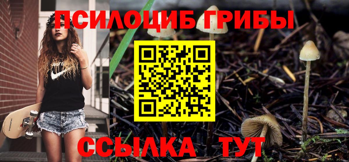 Псилоцибиновые грибы Magic Shrooms Юрга