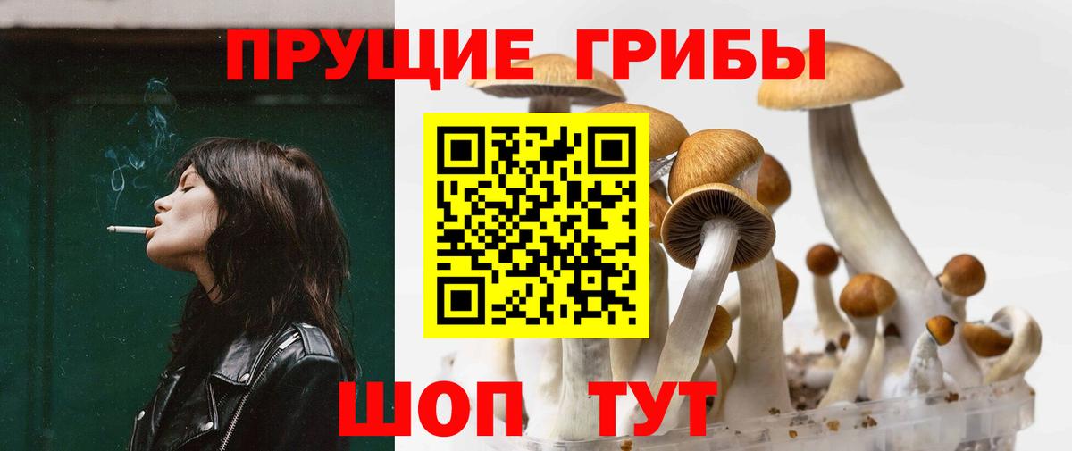 Галлюциногенные грибы MAGIC MUSHROOMS  Галлюциногенные грибы мицелий  Юрга  Вход с VPN 